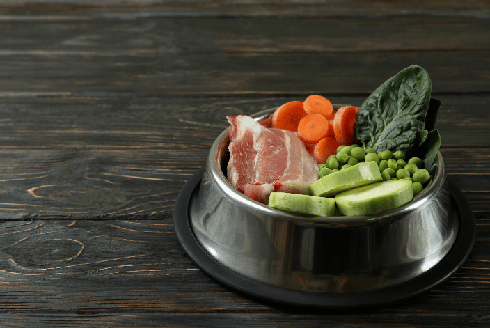 Holistic nutrition your pet needs!