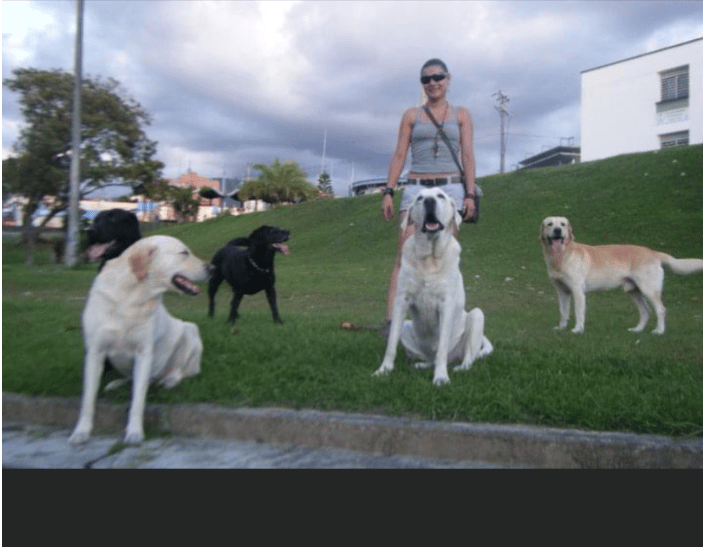 Mis peluditos!