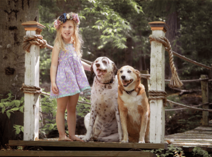 Girl with her two dogs on a bridge