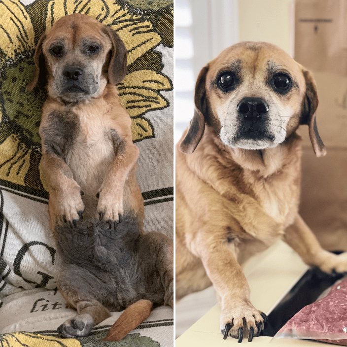 Dixon Before and After