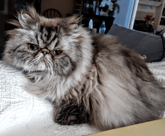 Handsome Gilligan!