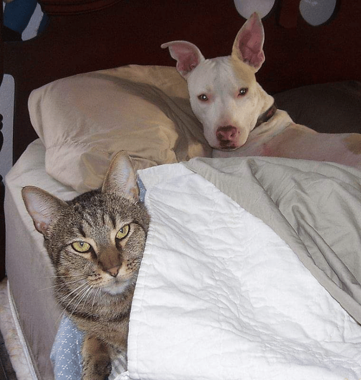 Strange bed-fellows