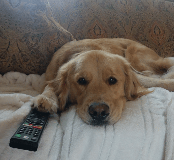 "Can you turn on my favorite show?"