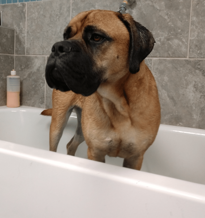 Bath time!