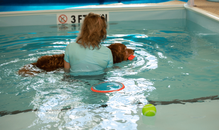 assisted swim