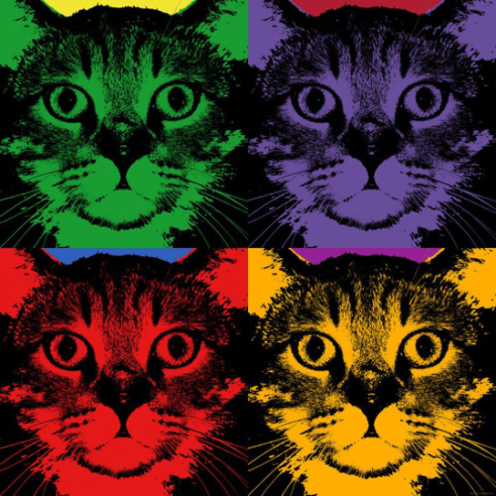 custom cat pop art warhol style print