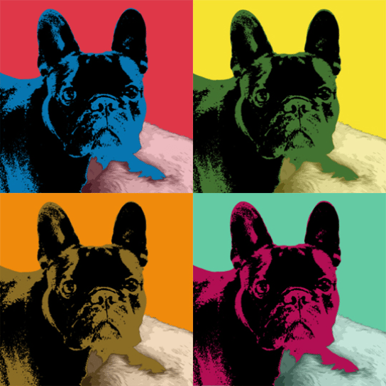 French bulldog warhol style print