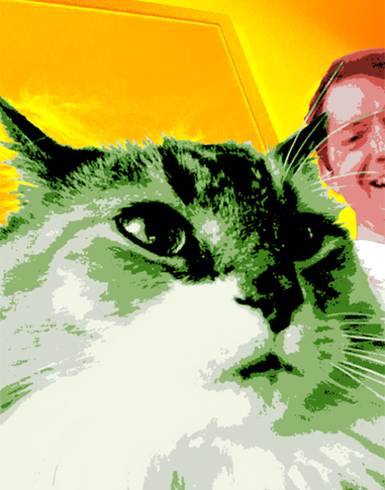 cat pop art