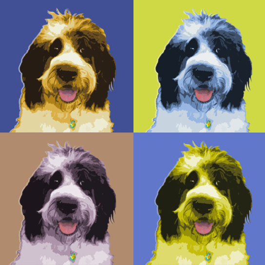 pop art pet canvas