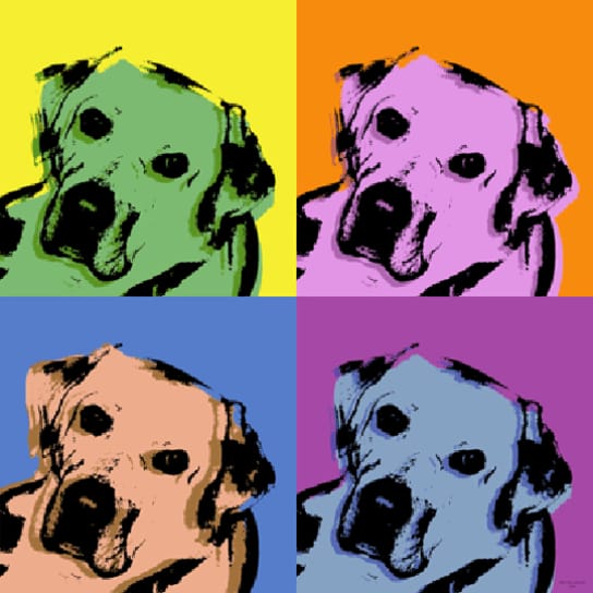 4 panels warhol style dog portrait