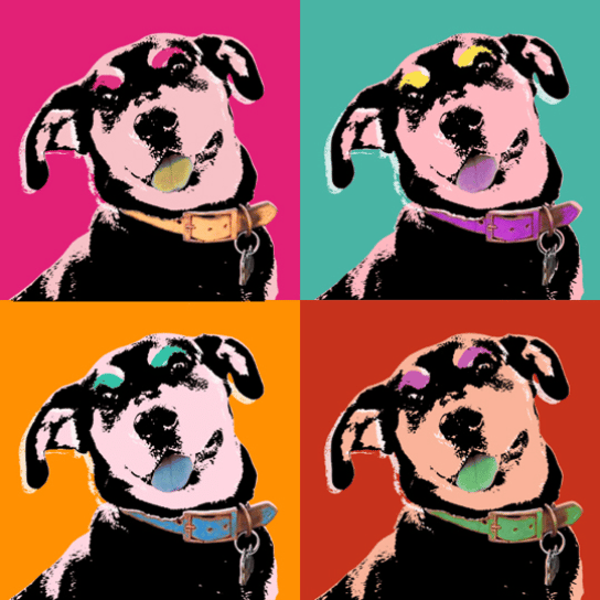 dog pop art