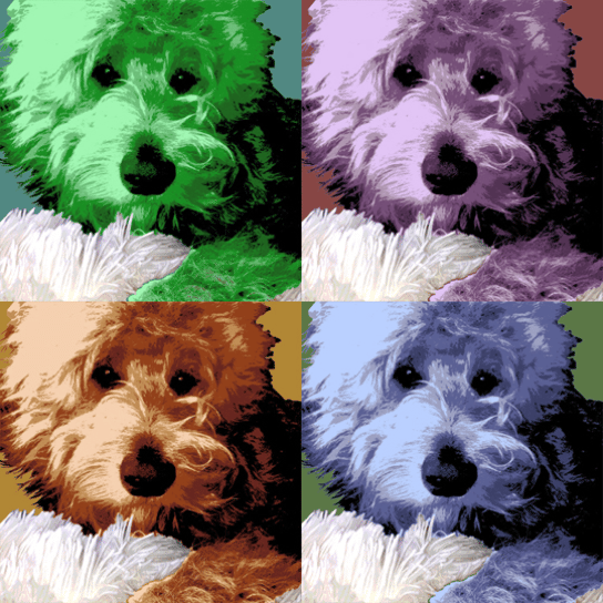 dog warhol style portrait