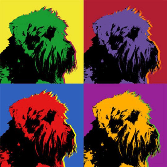dog warhol print