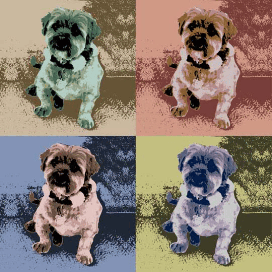 4 panels canvas pop art