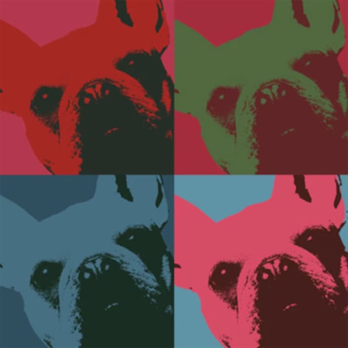 French bulldog pop art Warhol style print