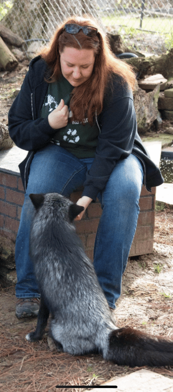 Myself training a fox