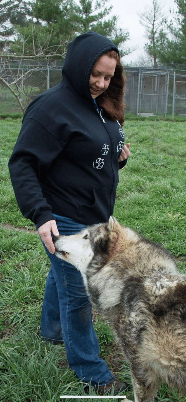 Training with a wolf