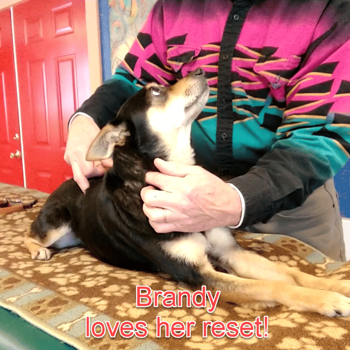 Dr. Nels does Neuro-Energetic Balancing (TM)