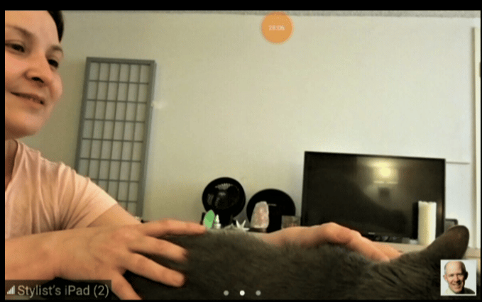 Dr. Nels guides Gaby to reset her cat Mia.