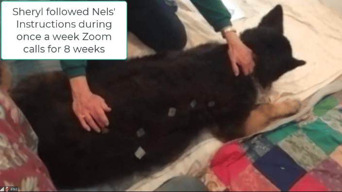 Dr. Nels guides Sheryl to balance Coco
