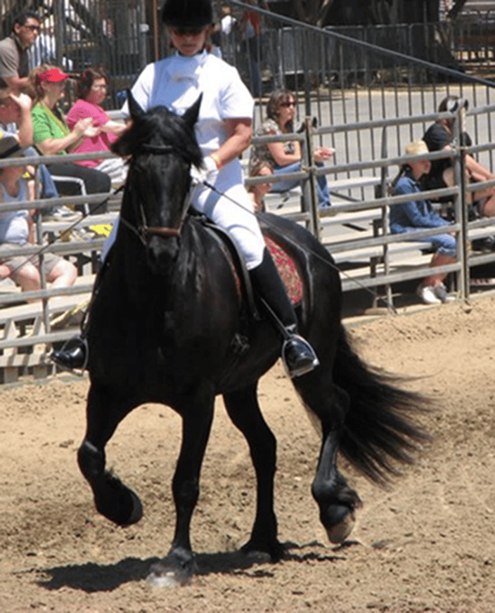Terrie Douglas riding Bella at a horse exposition