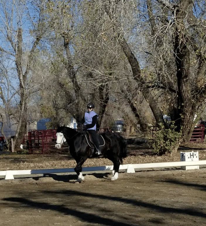 Terrie Douglas with student's horse