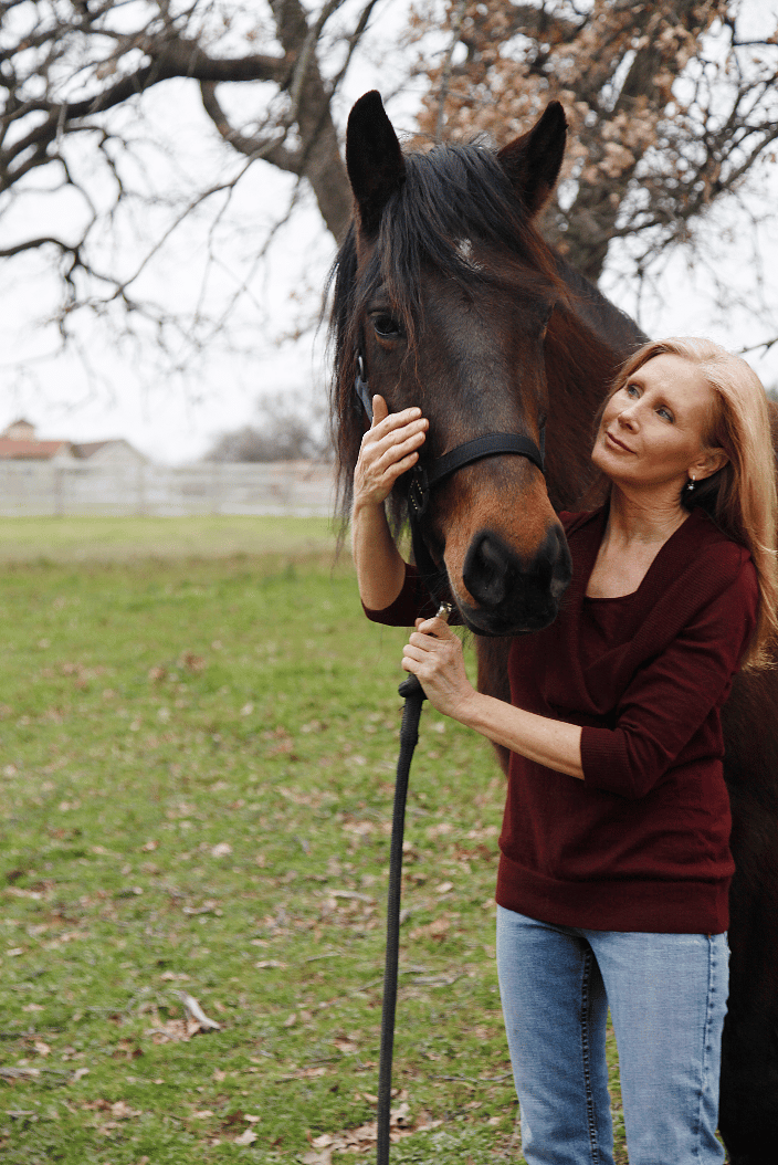 Nancy volunteering with rescue horse with White Bridle Humane Society