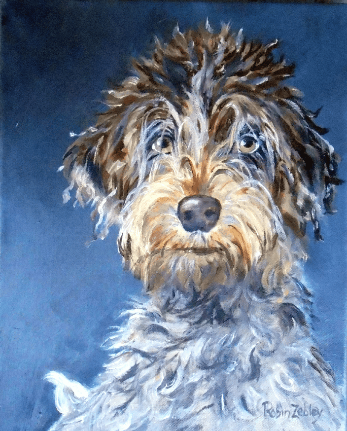 Oil Painting Pet Portrait Wire Haired Pointing Griffon