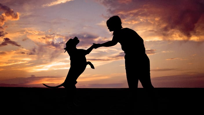 Silhouette of woman and dog dancing at sunset