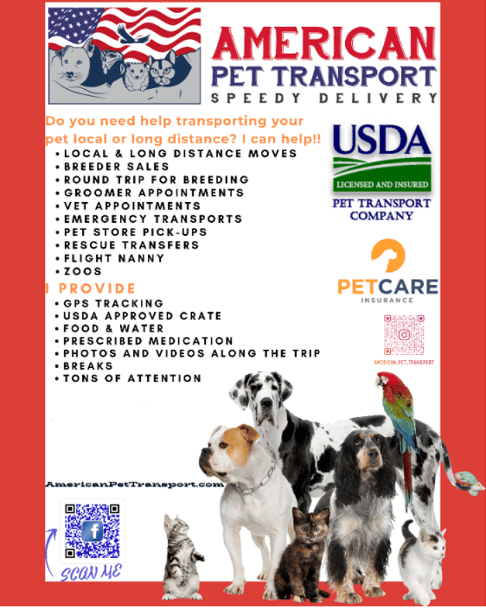 Usda licensed pet discount transporter