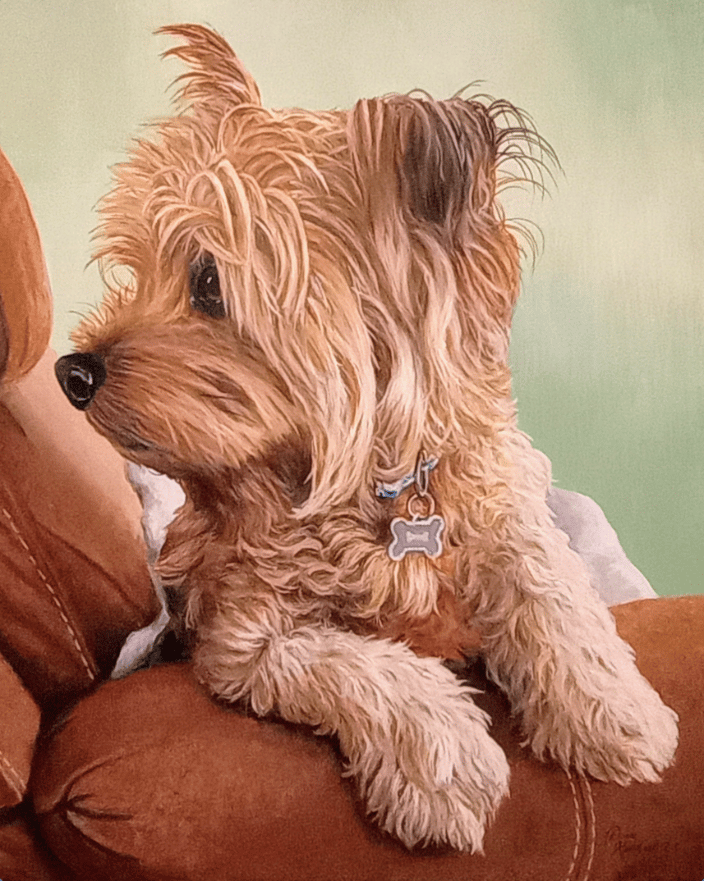 "Mocha" Acrylic on canvas, 24 x 30". His fur was the most rewarding part of this one. I had to make sure that all of the hair had details. I believe that I am a sucker for attention to detail. 