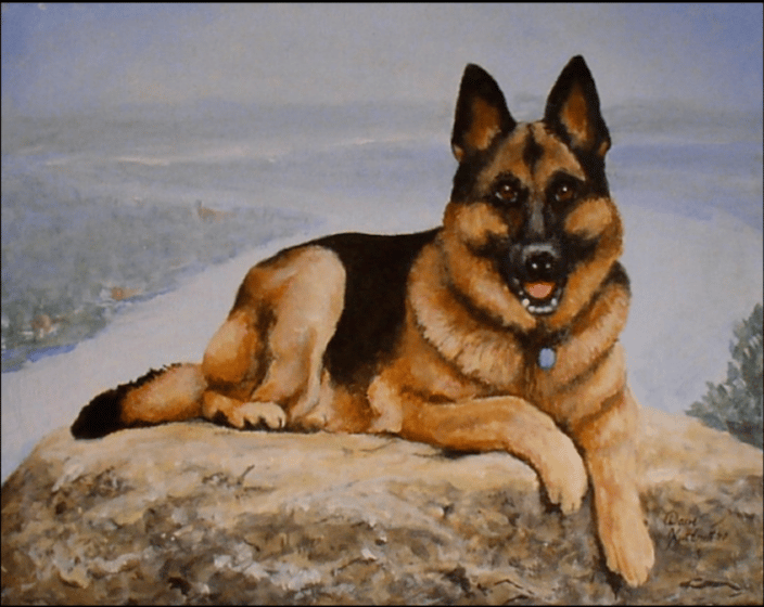 "Amos", this photo had a young person in the image and the client wanted just the dog. 