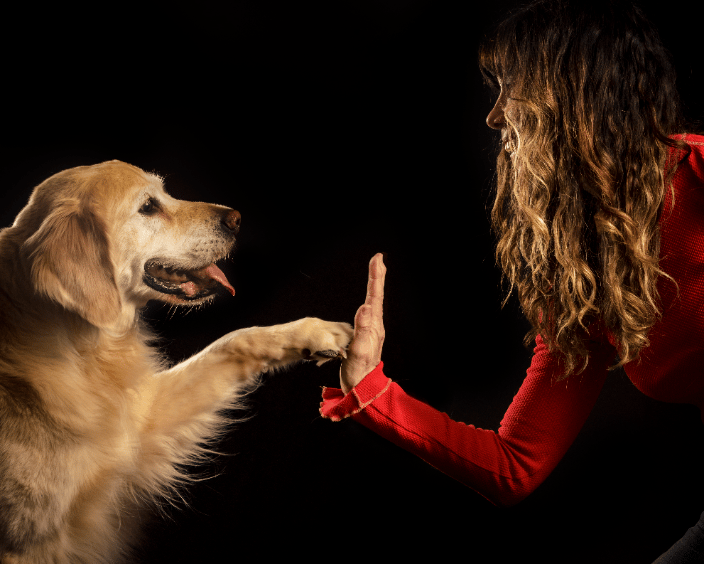 Give your human a high-five!
