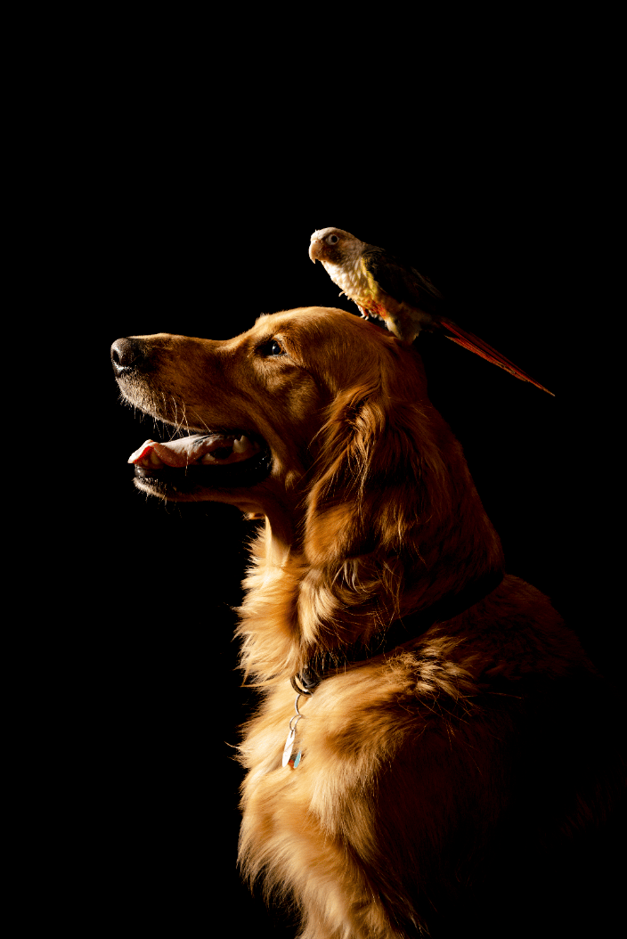 Cooper and Larry Bird