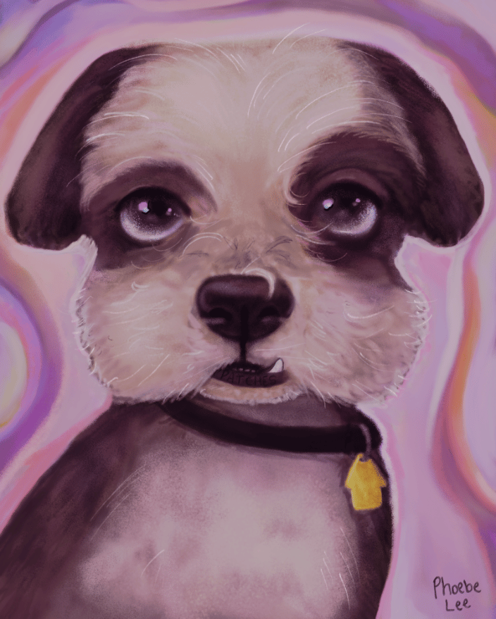 My dog, Patches
