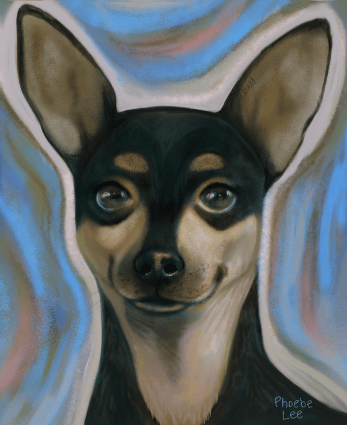 My dog, Lewy
