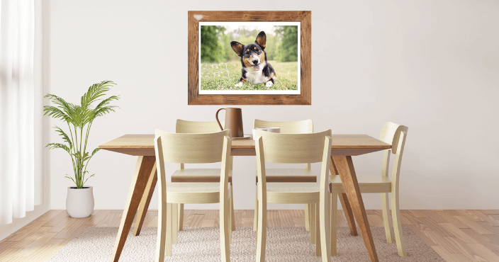 photo of a Corgi in a room