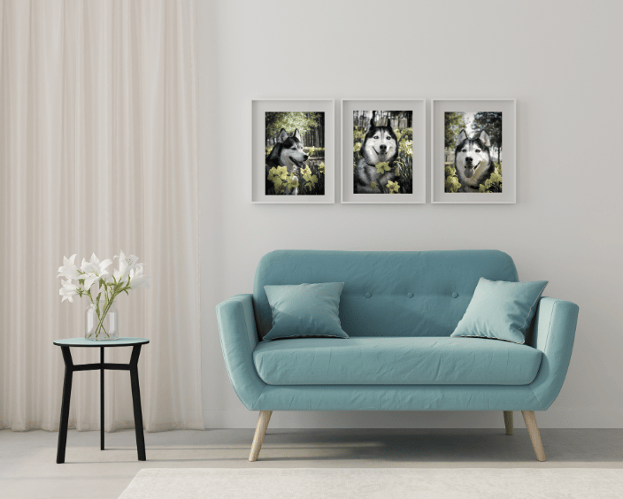 Three framed photos of a Husky in a lounge