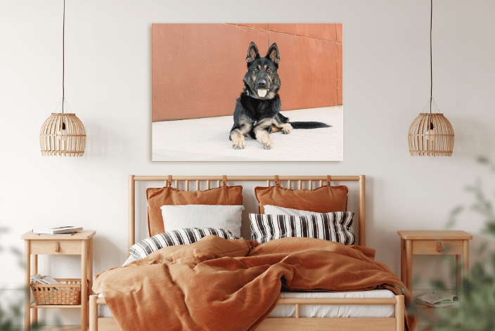 a large canvas over a bed, showing a German Shepherd lying down