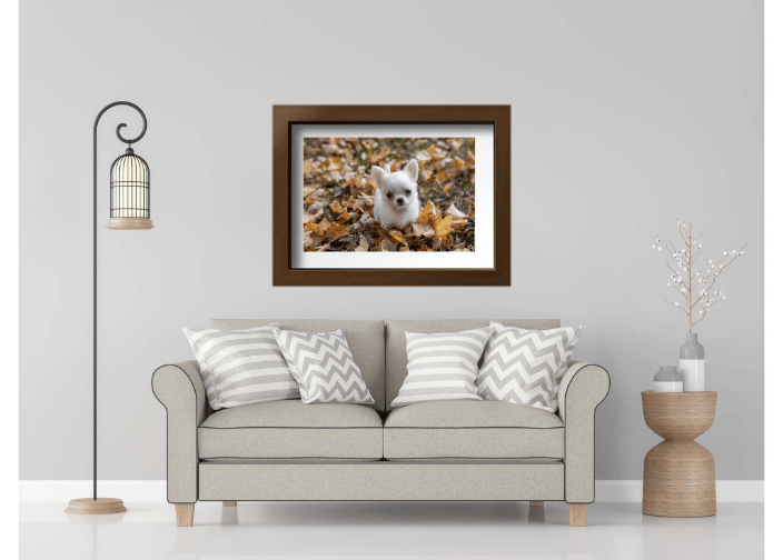 a large framed print of a Chihuahua puppy hanging over a tan couch