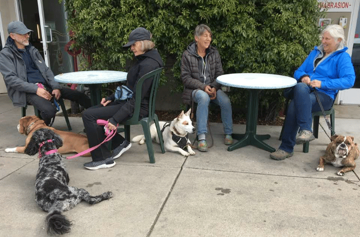 A group training walk