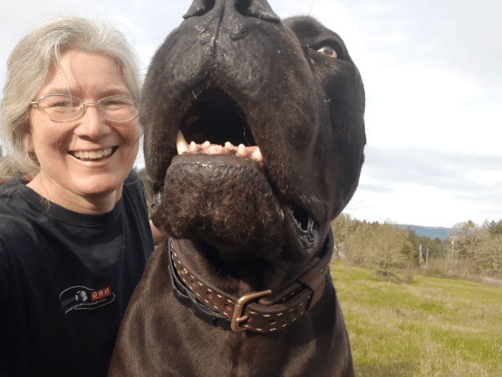 Meet Baloo!  My Mastiff and former foster dog.