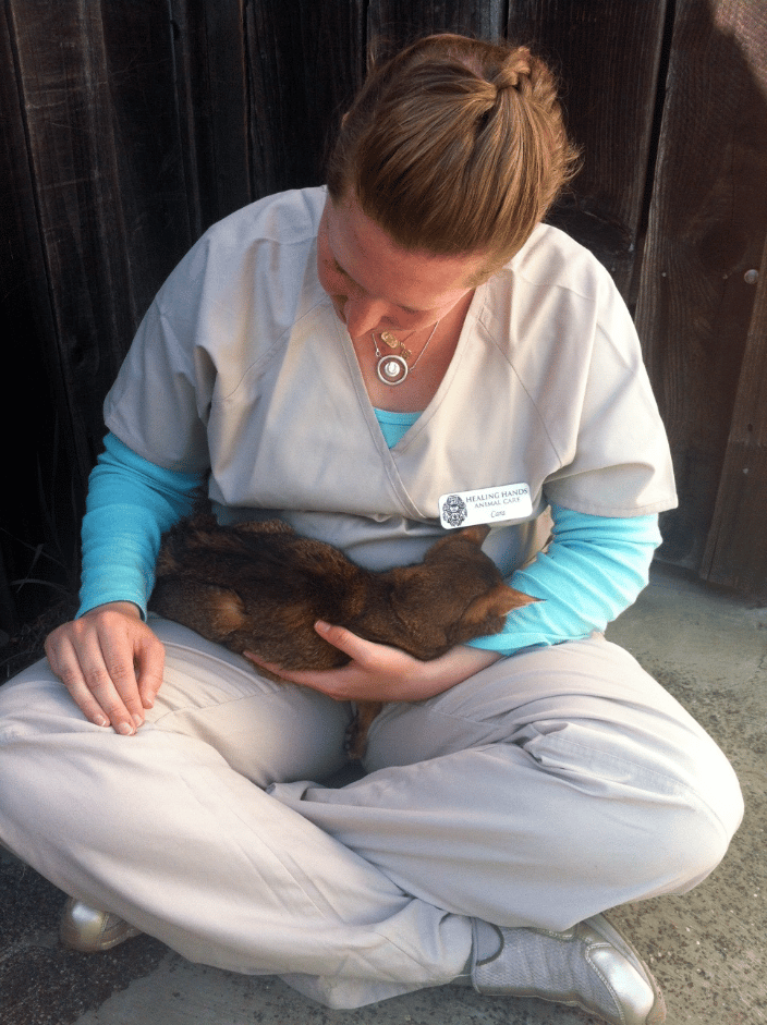 Hospice Reiki