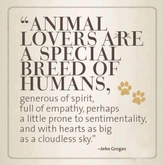 The best kind!