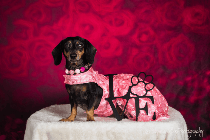 Mollie Valentine