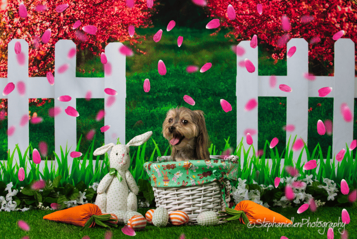 Fun Easter Pic