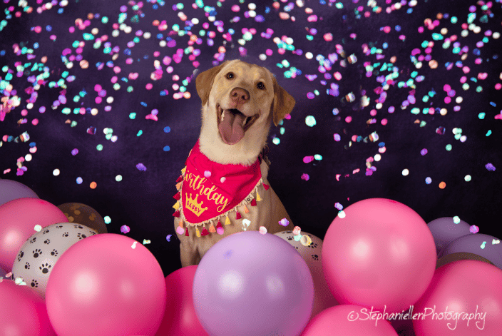 Birthday Portrait
