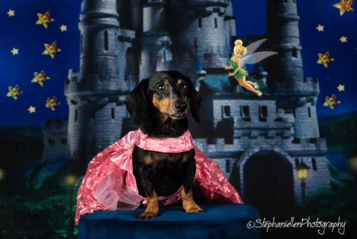 Fun Castle photo