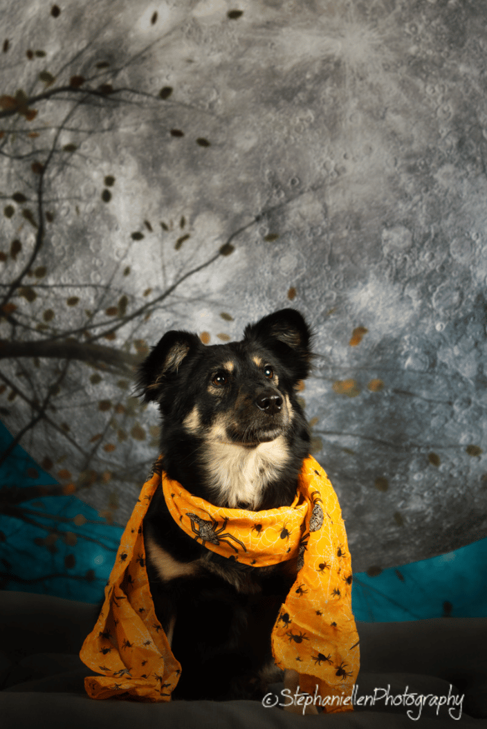 Halloween fun