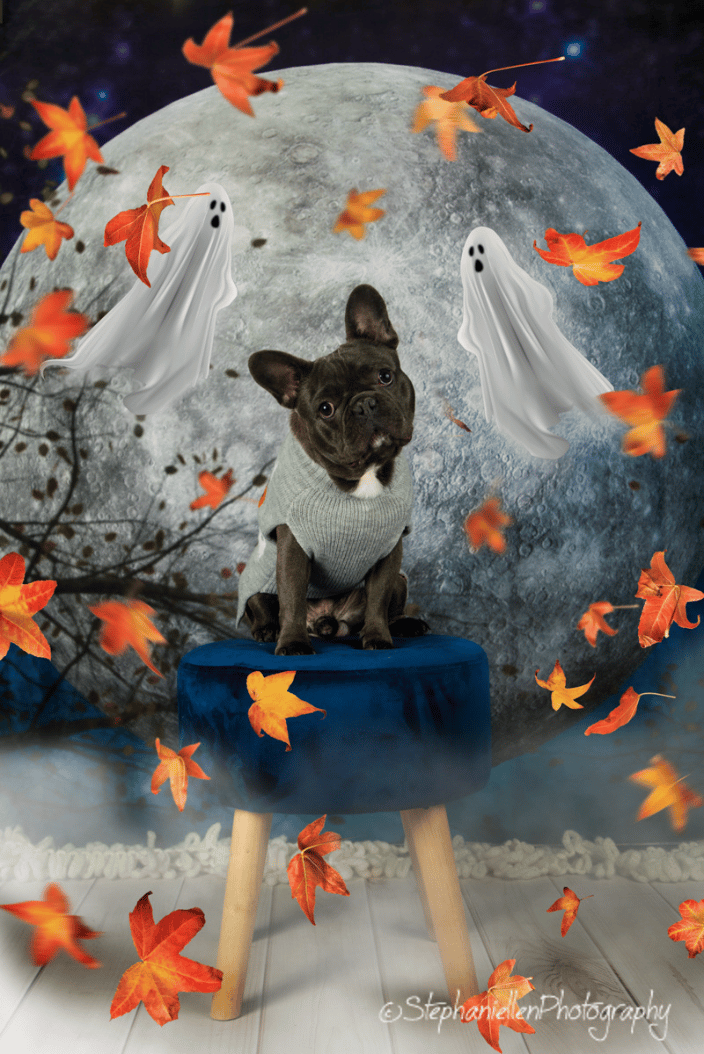 Halloween with fun effects